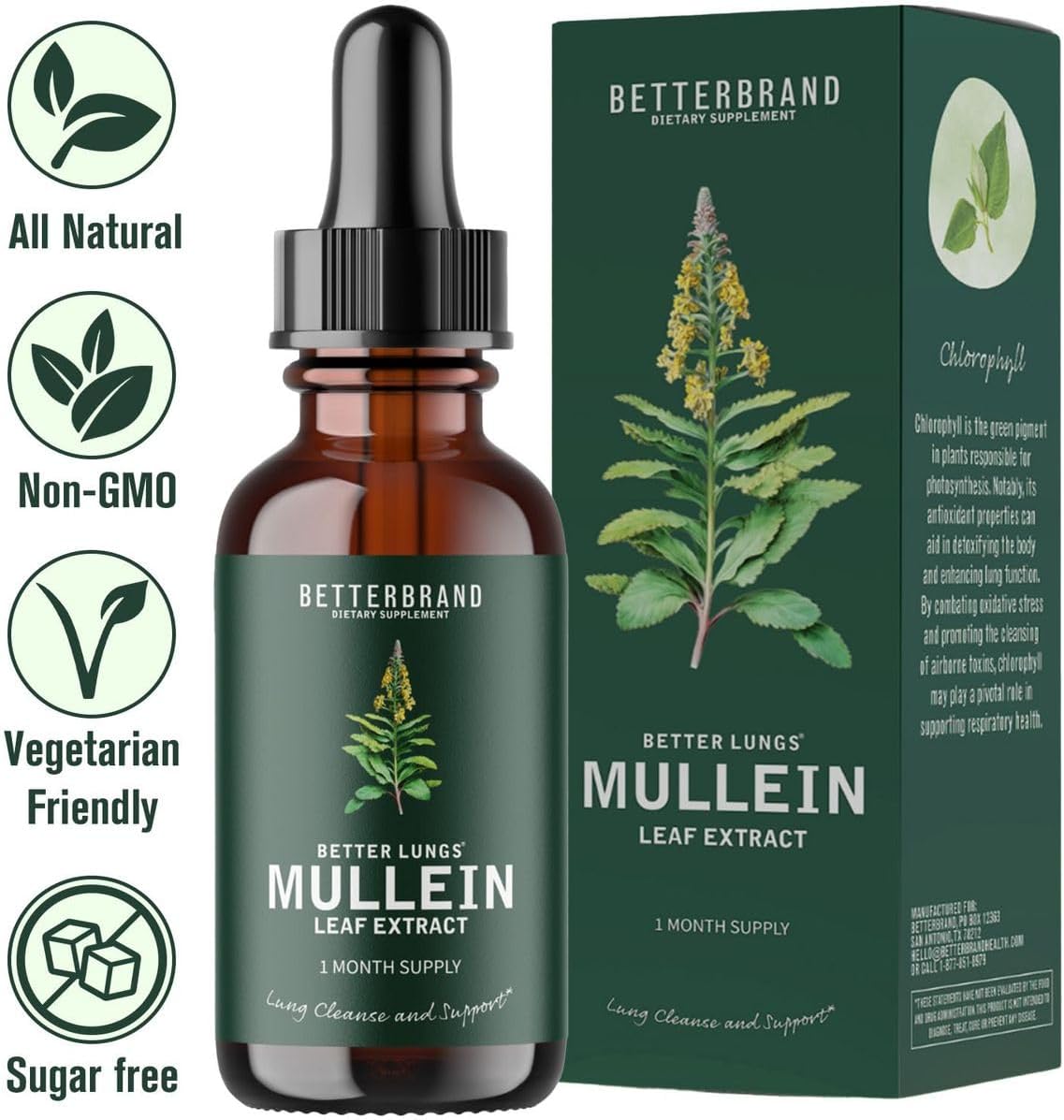 Betterbrand BetterLungs – Mullein Leaf Extract for Lung Cleanse & Respiratory Health | Natural Non-GMO Tincture Drops | 1-Month Supply