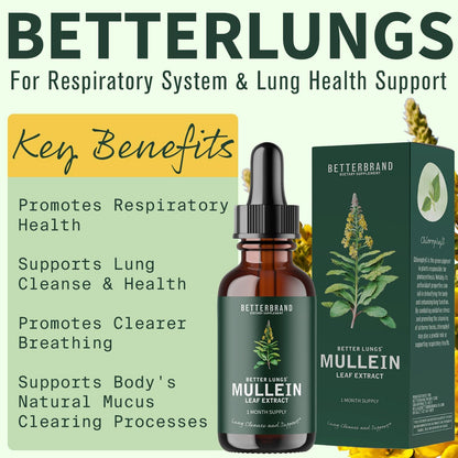 Betterbrand BetterLungs – Mullein Leaf Extract for Lung Cleanse & Respiratory Health | Natural Non-GMO Tincture Drops | 1-Month Supply